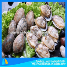 hot-selling competitive price and good service boiled frozen baby clam